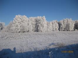 Еще одну забыл