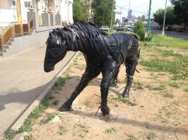 Гигантская черепаха