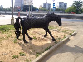 Гигантская черепаха