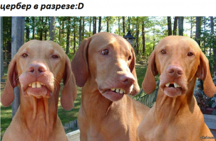 30 "всего на свете" в непривычном разрезе