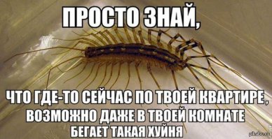 10 мифических на вид животных, которые реально существуют