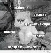 Очередной бракованный котейка