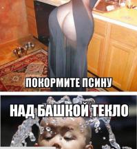 Прикольные картинки с комментариями