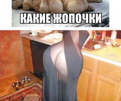 Прикольные картинки с комментариями
