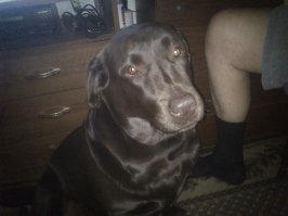 спасибо, трудно не согласиться...))