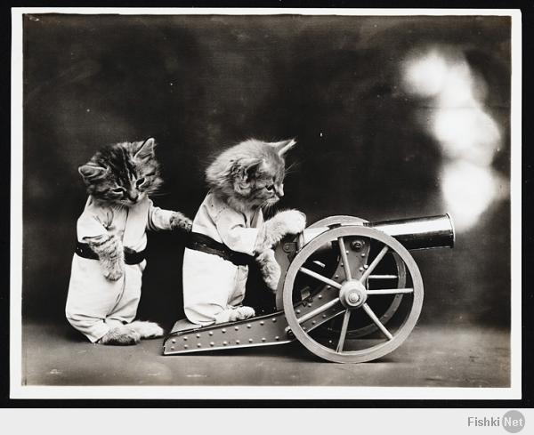 Фотки 1906-1907гг.
По ссылке еще штук 18 шт - с котами в костюмах.