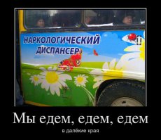 Веселые надписи на автомобилях