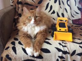 Вот, собственно и обожатель.