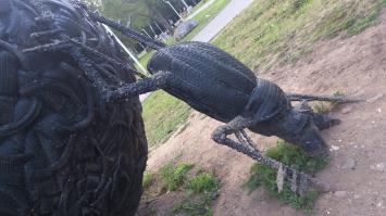 Вот в Перми !