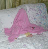 Собаки - как дети! У меня ребенок так прячется.