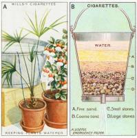 A. Заполните большую ёмкость водой и поставьте её выше уровня растений. Возьмите шерстяную верёвку и погрузите один конец в эту емкость, а другой в горшок с цветами. 
B. Самая чистая вода может получиться из обычного цинкового ведра с отверстием внизу для слива. Выложите слоями мелкий песок, грубый песок, чистый и отработанный гравий и камни. В итоге снизу будет выливаться чистейшая вода.