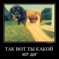 ПОДАРОК ДЛЯ КЭПА