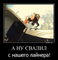 Фотоподборка за 30.07.2014