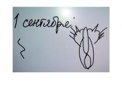 А НА ЭТО КАК ВЫ ОТРЕАГИРУЕТЕ?