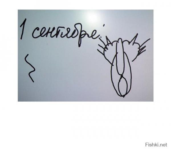 А НА ЭТО КАК ВЫ ОТРЕАГИРУЕТЕ?