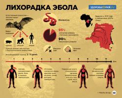  16 дней из жизни укушенного зомби