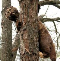 ВОТ ЭТО ПОДБОРОЧКА!