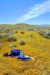 Они чем то схожи