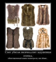 Подборка демотиваторов