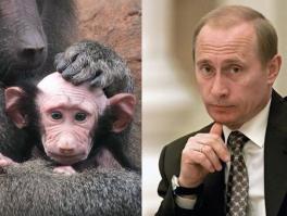 Ой, кажется не на тот сайт заливаю )))