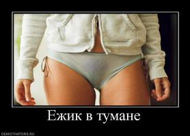 Оказывается и ёжика можно взять за шкирку