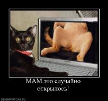 Случайный снимок со странными последствиями