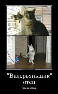 Фишкина солянка за 17.06.2014