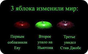 Фишкина солянка за 19.08.2014