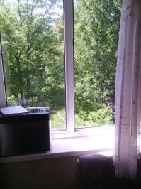 А к нам наконец-то лето пришло!