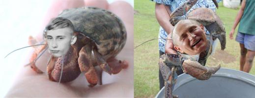 привет кармодрочерам )