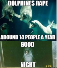 Интересные факты о дельфинах (16 фото)