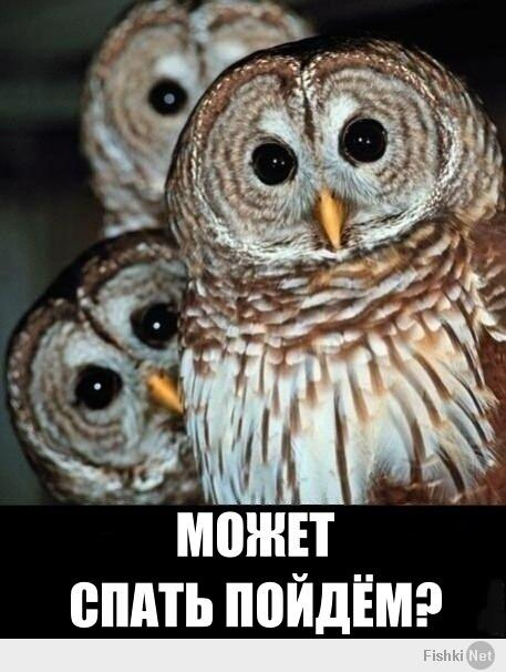 Что то я устал сегодня)