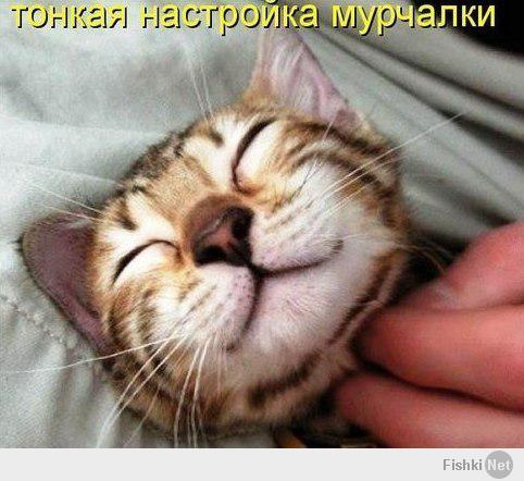 Фишкина солянка за 27.05.2014 