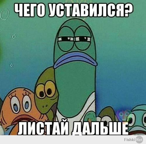 Фишкина солянка за 27.05.2014 