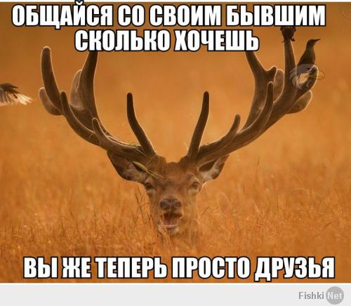 Фишкина солянка за 27.05.2014 