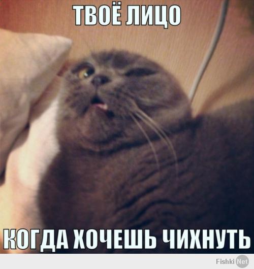 Фишкина солянка за 27.05.2014 