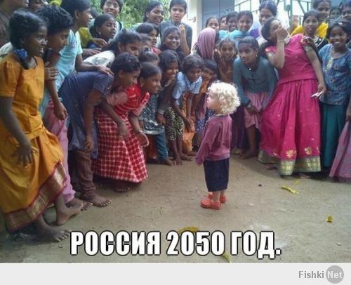 Фишкина солянка за 08.07.2014 