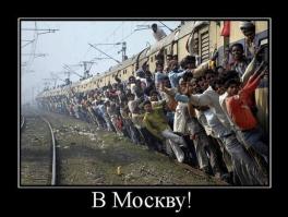 Фишкина солянка за 13.11.2014