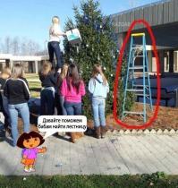 Фишкина солянка за 13.11.2014