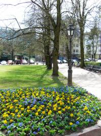 Зачем минусовать, порадуюсь за тебя. Вот только читай внимательно сообщения когда собираешься на  него  ответить. Я отметила всё  положительное, что вприглядку заметила на  фотографии. Извини если  то, что  тебе  понравилось, назвала "огородом"... заметь, поставив кавычки. Помимо того что  посадить растения, за  ними  надо ещё  и  ухаживать. Наверное  смотрим  по-разному. Я на  этом воспитывалась. Замечу: одна клумба в начале  сезона и ...где-то в  июле... к осени ещё раза  два обновят.
Извини ещё раз, не хотела обидеть...даже совсем наоборот :-)