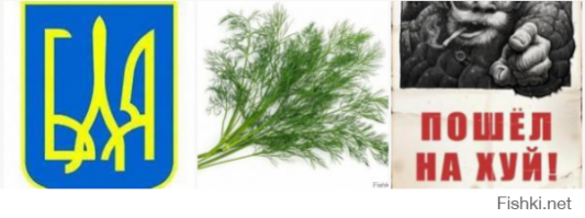 Самолёты президентов разных стран