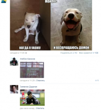 Смешные комментарии из социальных сетей