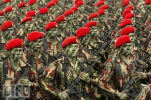 они зеленый в черную полоску, или черные в зеленую?