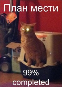 Ну все,хозяйка.Я готов.