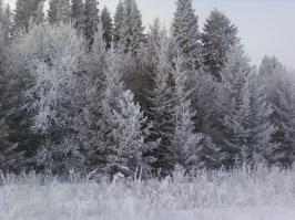 похожие пейзажи.