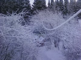 реальность, она такая. пермский край.