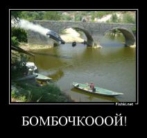 Фотоподборка за 24.06.2014