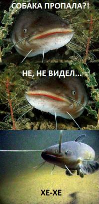 СОБАК-СУПЕРРЫБАК.