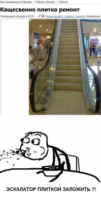  Лучшие резюме по поиску работы