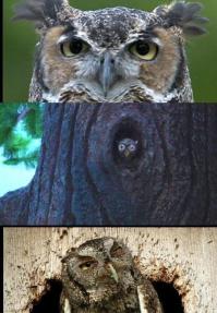 Необычный бункер времен холодной войны